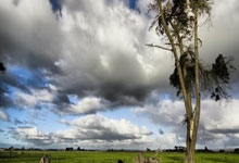 传奇教练郎平：三关节置换，逆境中绽放体育精神