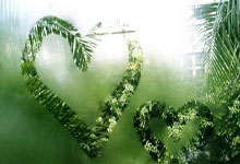 “广西政协原副主席彭晓春被开除党籍，违纪违法问题严重”